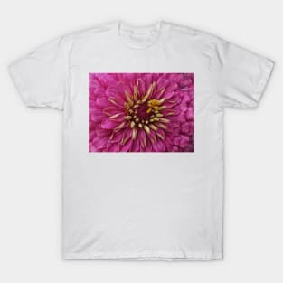 zinnia flower bloom in pink T-Shirt